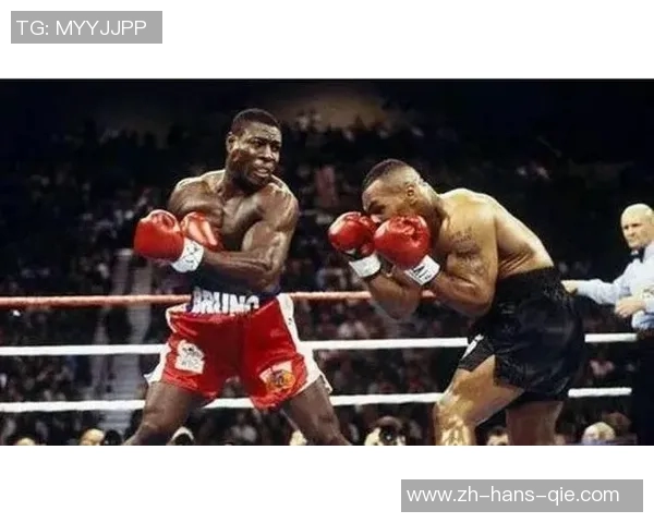 刘易斯与布鲁诺的巅峰对决谁将成为拳坛新王者